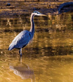 Sw 8527850665 1eec9f0c34 H Sw 8527850665 1eec9f0c34 H