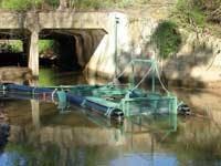 Th New P 16 Th New P 16