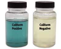 Th Odor 22 Th Odor 22