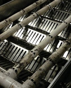 Vp Biogill1 Img 2005 Vp Biogill1 Img 2005