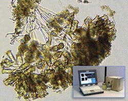 Wastewater Flowcam Wastewater Flowcam