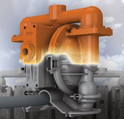 Wilden Fit Transformation 2 Wilden Fit Transformation 2