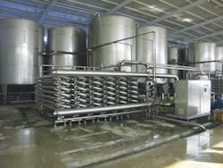 Xylem Raisin Plant Xylem Raisin Plant