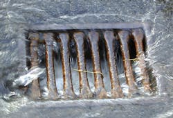 veinglory/iStock veinglory/iStock