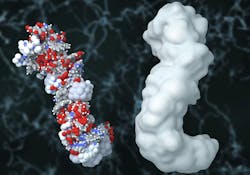 selvanegra/iStock selvanegra/iStock