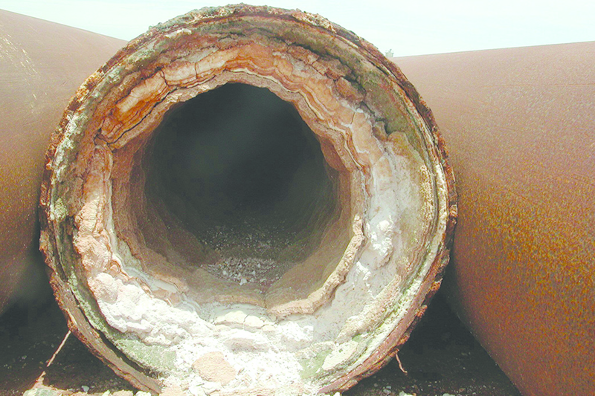 The results after 45 days of treatment. All images courtesy of Scalewatcher