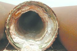 The results after 45 days of treatment. All images courtesy of Scalewatcher The results after 45 days of treatment. All images courtesy of Scalewatcher