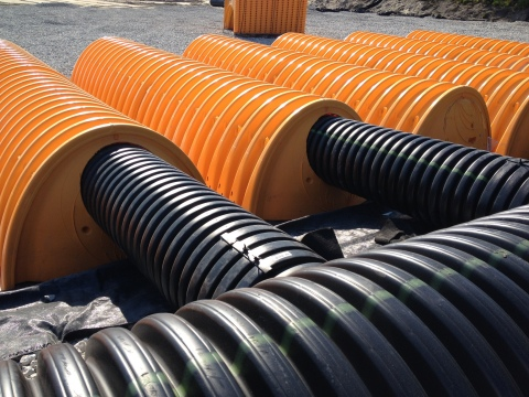 Content Dam Ww Online Articles 2016 03 Img 0224 1