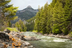 Gallatin River, Montana. Nicolas McComber/iStock