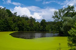 PytyCzech/iStock PytyCzech/iStock