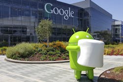 maislam/iStock maislam/iStock