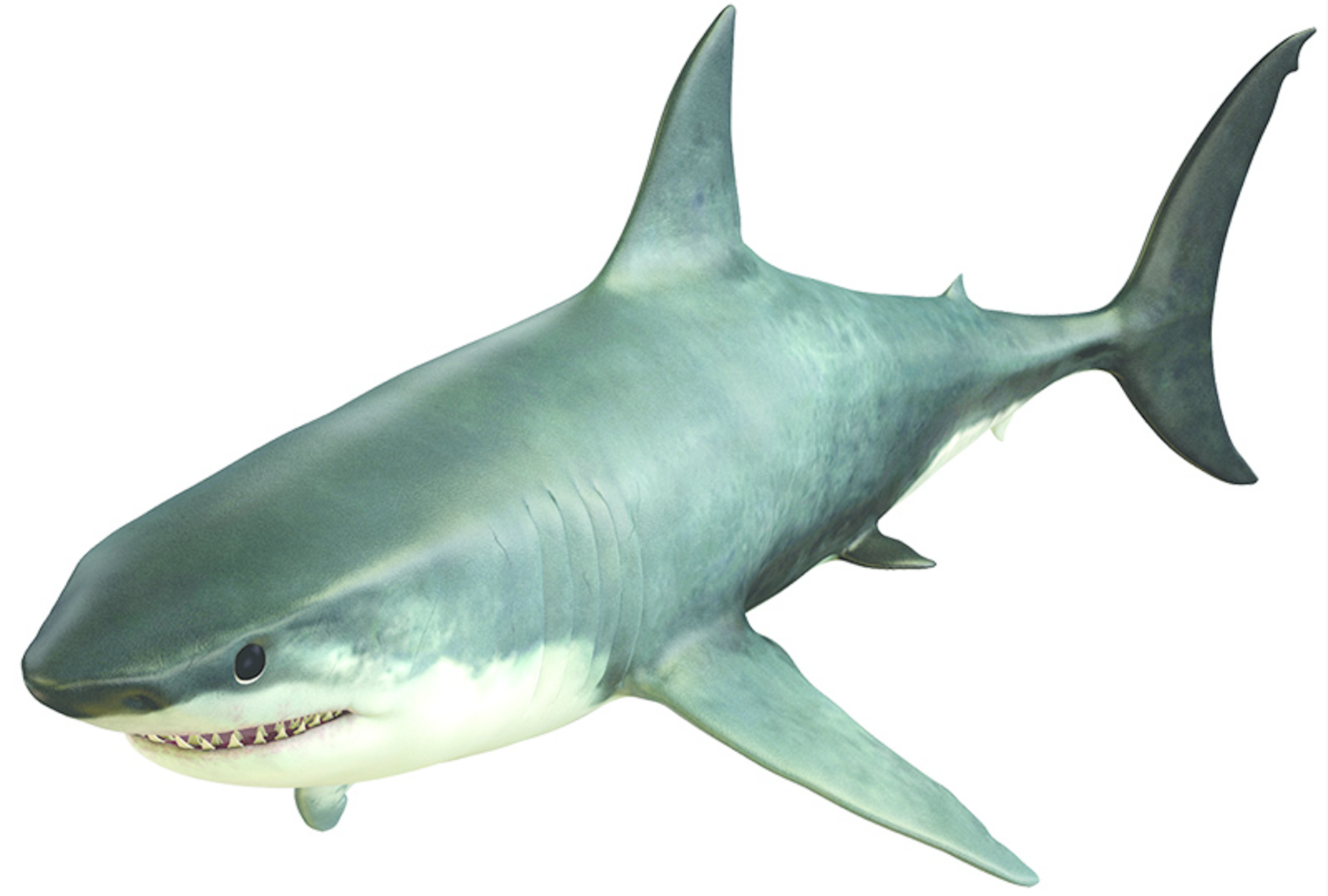 CoreyFord/ThomasVogel/iStock