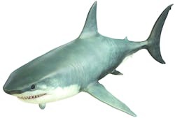 CoreyFord/ThomasVogel/iStock CoreyFord/ThomasVogel/iStock