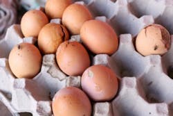 Waterlogic Rotten Egg Smell 300x200 Waterlogic Rotten Egg Smell 300x200