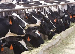 Content Dam Ww Online Articles 2016 06 5249420021 D9b2818a54 Z Content Dam Ww Online Articles 2016 06 5249420021 D9b2818a54 Z