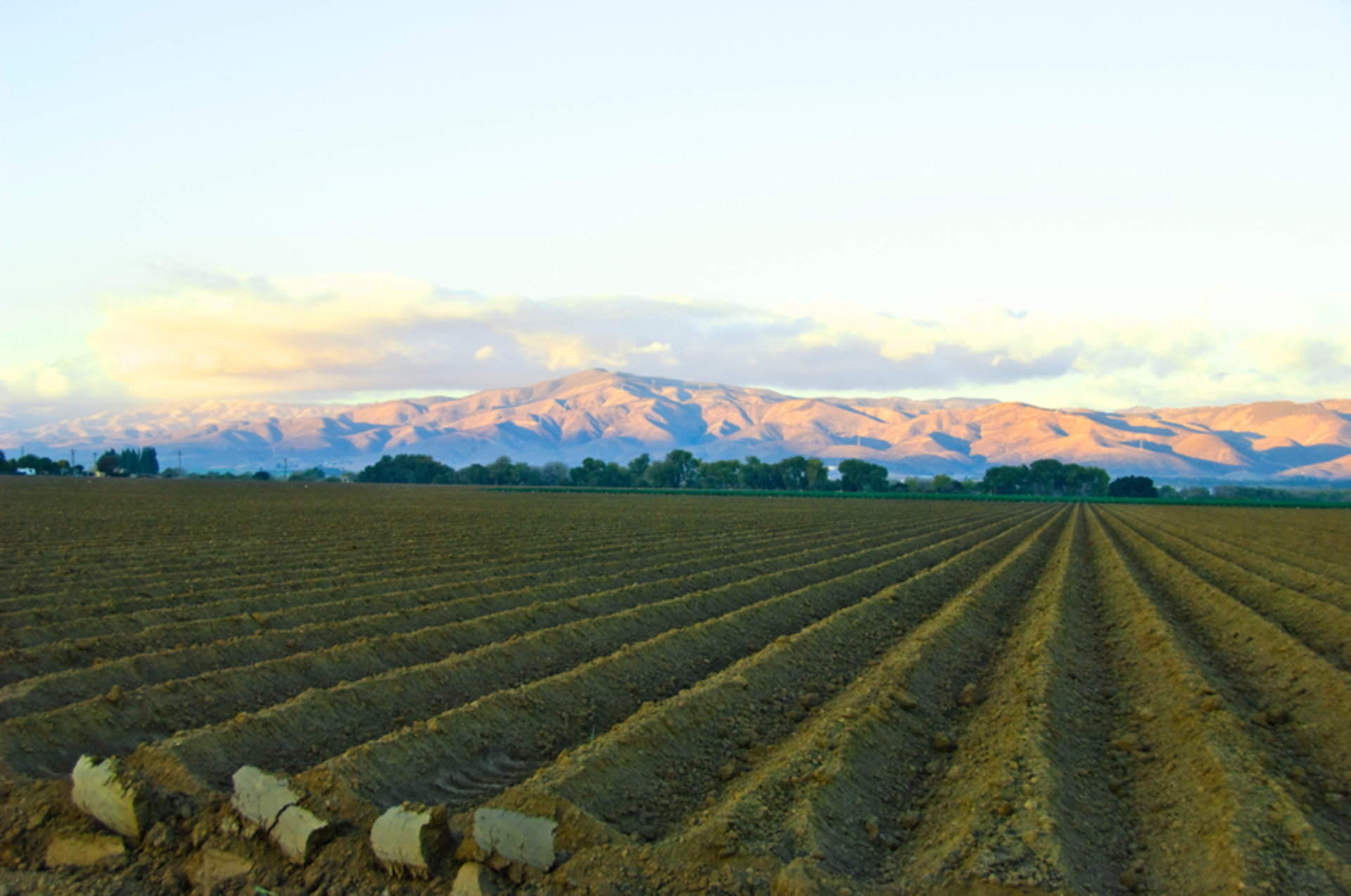 Jerry Moorman/iStock