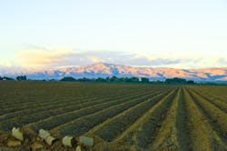 Jerry Moorman/iStock Jerry Moorman/iStock