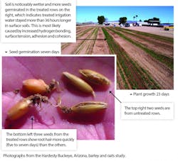 30 Wt 0716 2 1024x931 30 Wt 0716 2 1024x931