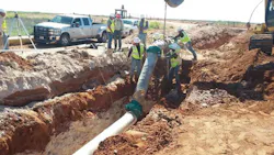 Content Dam Ww Online Articles 2016 08 Owl3 Content Dam Ww Online Articles 2016 08 Owl3