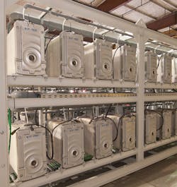 Fedi Brazos 865x1024 Fedi Brazos 865x1024