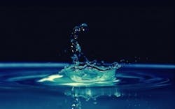 Content Dam Ww Online Articles 2016 09 2ea7ee31ab3e9938ef98b59fd7ef0e03 I Content Dam Ww Online Articles 2016 09 2ea7ee31ab3e9938ef98b59fd7ef0e03 I