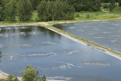 Solidago/iStock Solidago/iStock