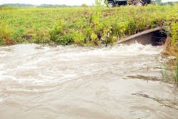 BanksPhotos BanksPhotos