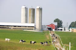 Content Dam Ww Online Articles 2016 10 Dairy Farm 927579 640 Content Dam Ww Online Articles 2016 10 Dairy Farm 927579 640