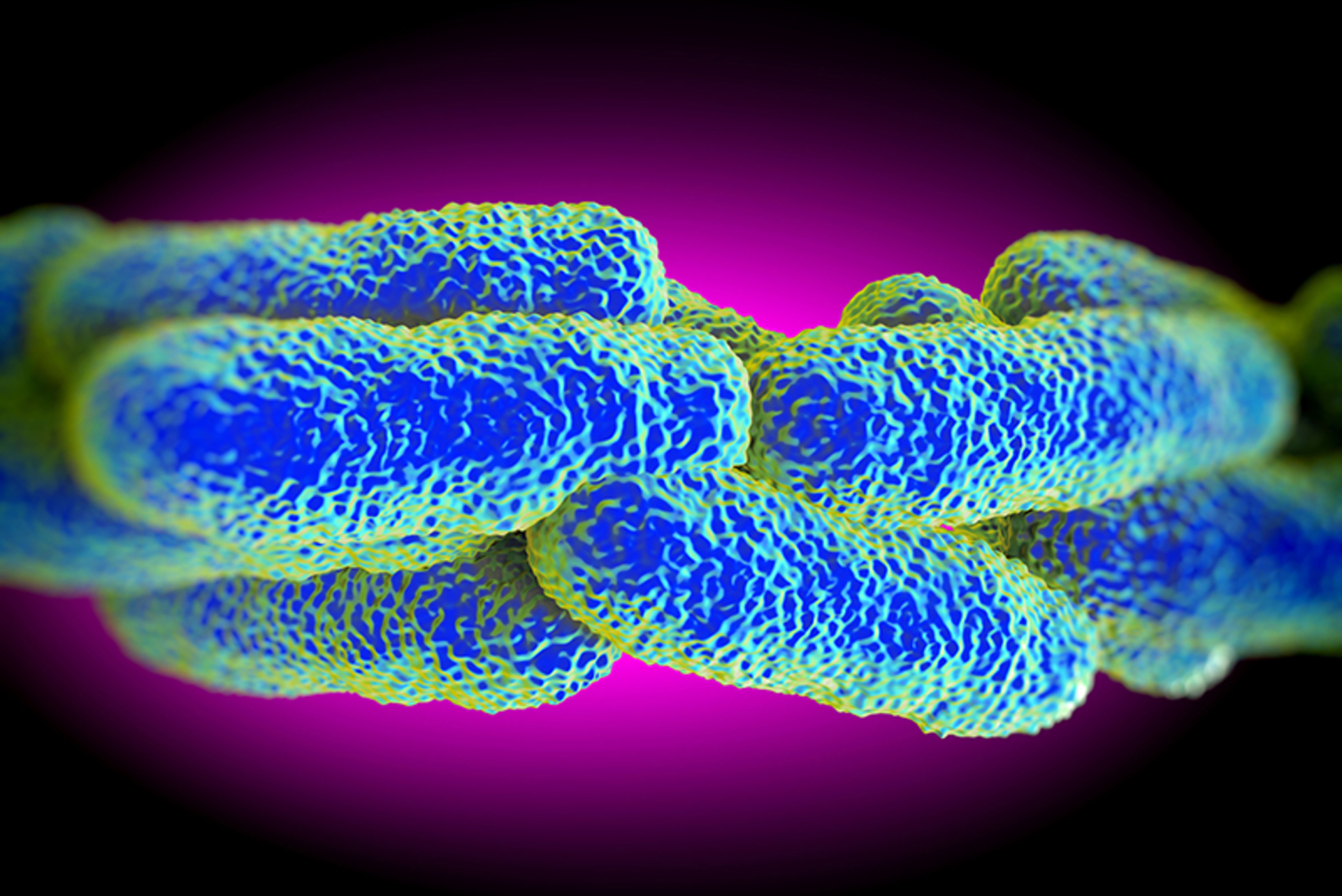 RoyaltyStockPhoto/iStock