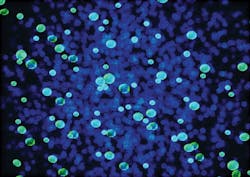 1611iwwft2 P02 1611iwwft2 P02