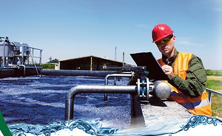 Content Dam Ww Online Articles 2017 01 Ebs