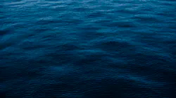Content Dam Ww Online Articles 2017 01 Pexels Photo 37487