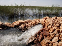 Oman Reed Bed 2 Oman Reed Bed 2
