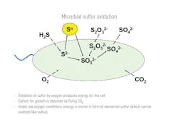Figure 1. Sulfur transformation by bacteria. All graphics courtesy of Honeywell UOP Figure 1. Sulfur transformation by bacteria. All graphics courtesy of Honeywell UOP