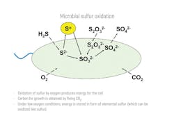 Figure 1. Sulfur transformation by bacteria. All graphics courtesy of Honeywell UOP