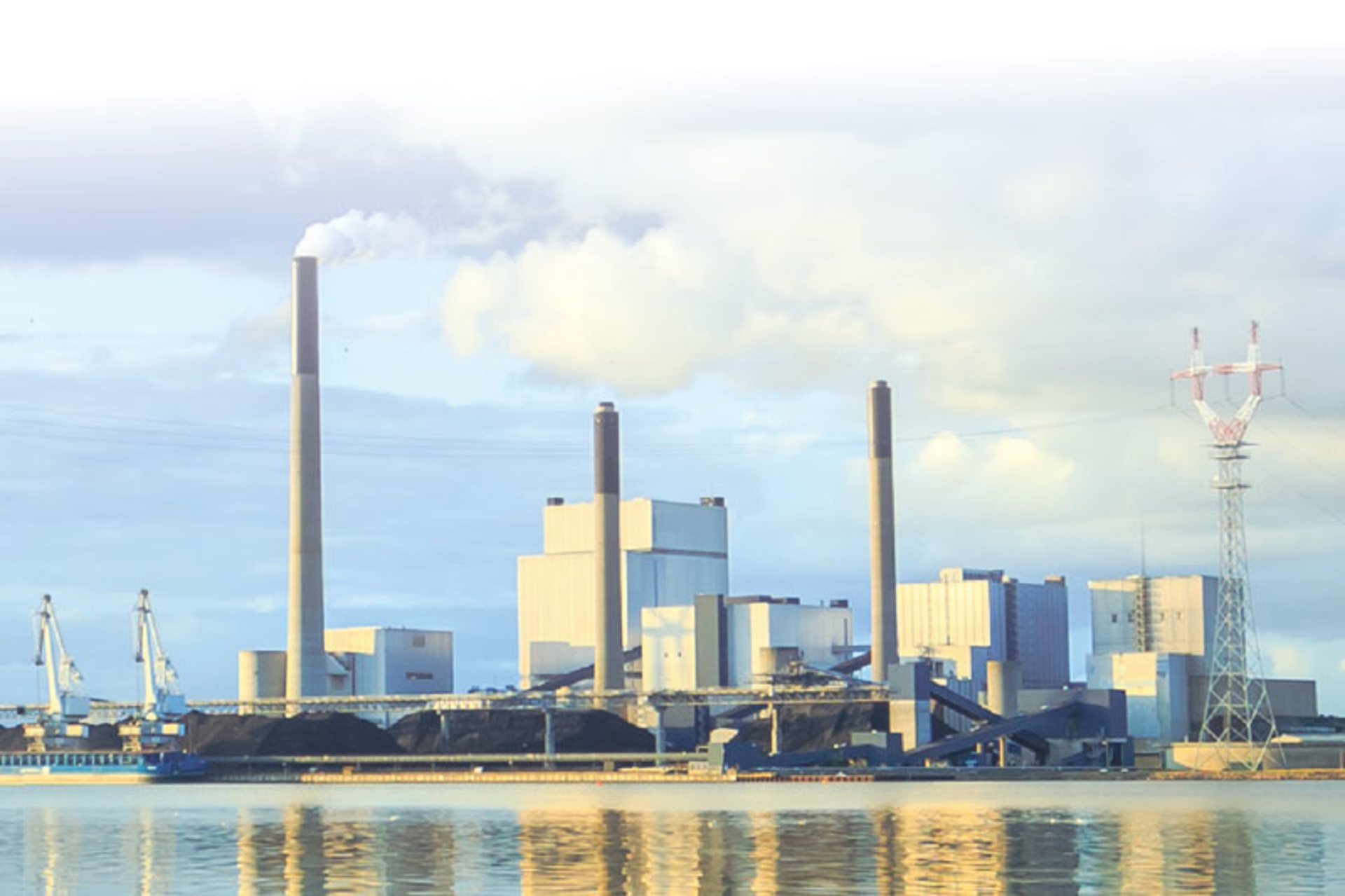 Photo: Riishede/iStock