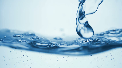 Content Dam Ww Online Articles 2017 03 8