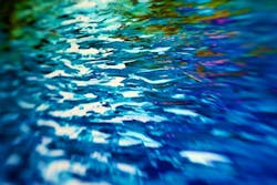 Content Dam Ww Online Articles 2017 04 5028942594 B1966e7650 B Content Dam Ww Online Articles 2017 04 5028942594 B1966e7650 B