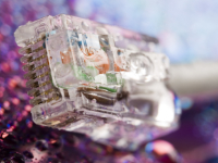 Content Dam Ww Online Articles 2017 04 Ww Newscast 20170403 Story1 Janpietruszka Dreamstime Stock Photos Dreamstimefree 2032524 200x150