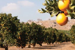 All images courtesy of BJM Pumps All images courtesy of BJM Pumps