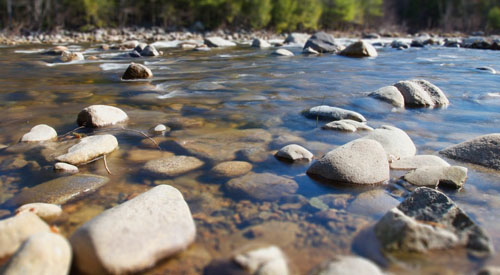 Content Dam Ww Online Articles 2017 05 1