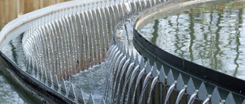 Content Dam Ww Online Articles 2017 05 Clear Water