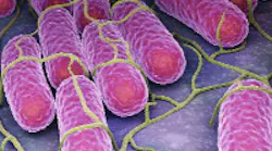Content Dam Ww Online Articles 2017 06 Ww Newscast 20170619 Story5 Biotechnology Pathogens 200x150