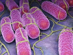 Content Dam Ww Online Articles 2017 06 Ww Newscast 20170619 Story5 Biotechnology Pathogens 200x150 Content Dam Ww Online Articles 2017 06 Ww Newscast 20170619 Story5 Biotechnology Pathogens 200x150