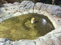 Content Dam Ww Online Articles 2017 08 Hawaiian Rumble Adventure Content Dam Ww Online Articles 2017 08 Hawaiian Rumble Adventure