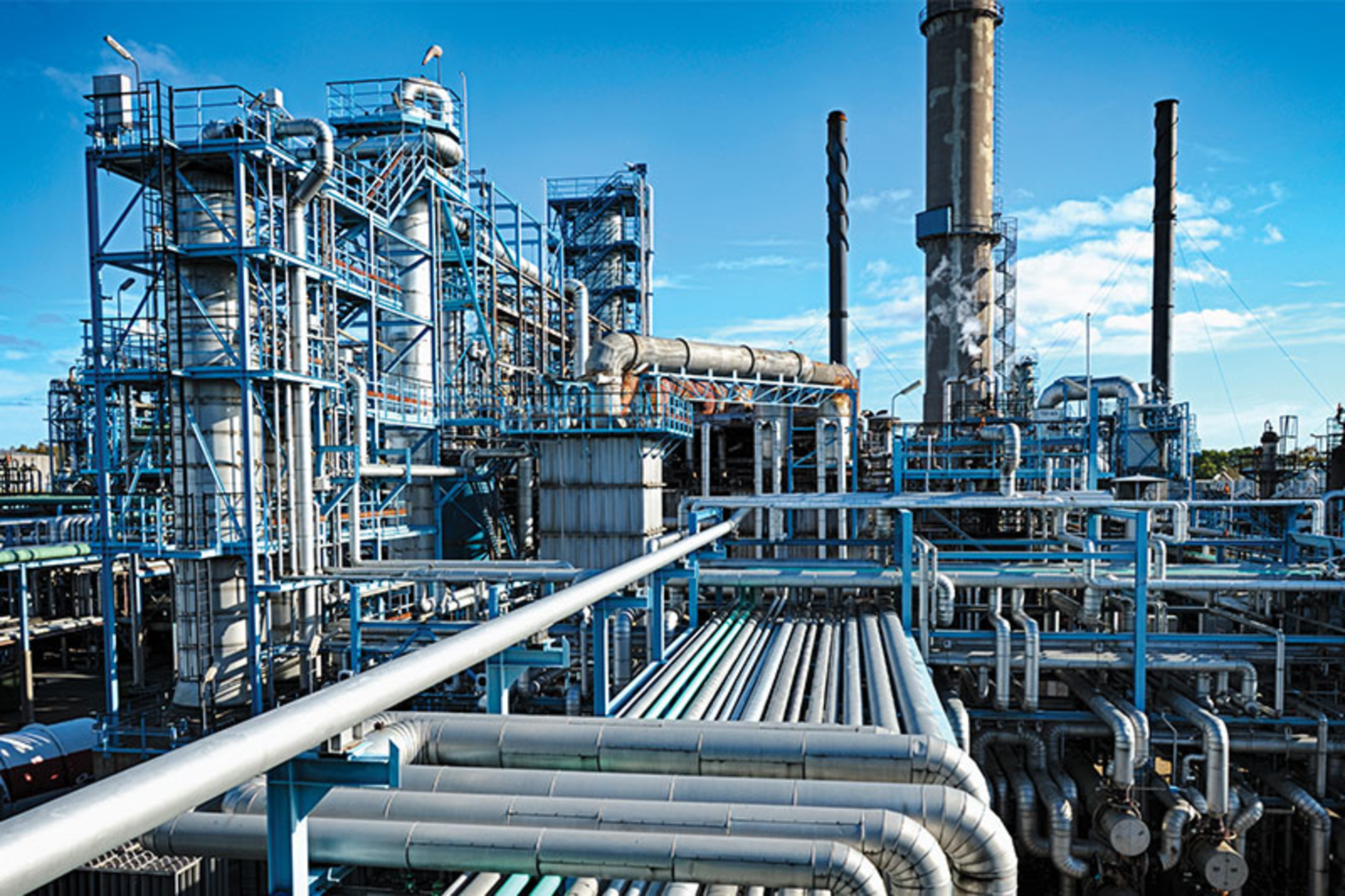 All images courtesy of Pulsafeeder