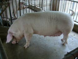 Content Dam Ww Online Articles 2017 11 156179 Web Content Dam Ww Online Articles 2017 11 156179 Web