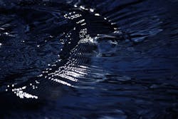 Content Dam Ww Online Articles 2017 11 Flowing 2116665 640 Content Dam Ww Online Articles 2017 11 Flowing 2116665 640