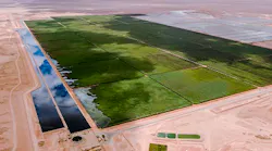 Content Dam Ww Online Articles 2017 11 Oman Constructed Wetland