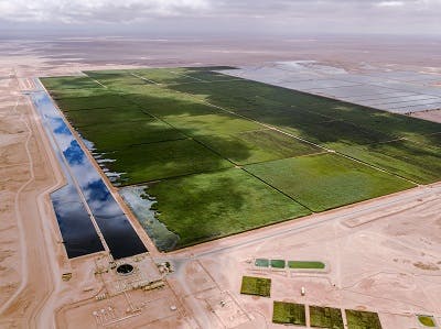 Content Dam Ww Online Articles 2017 11 Oman Constructed Wetland
